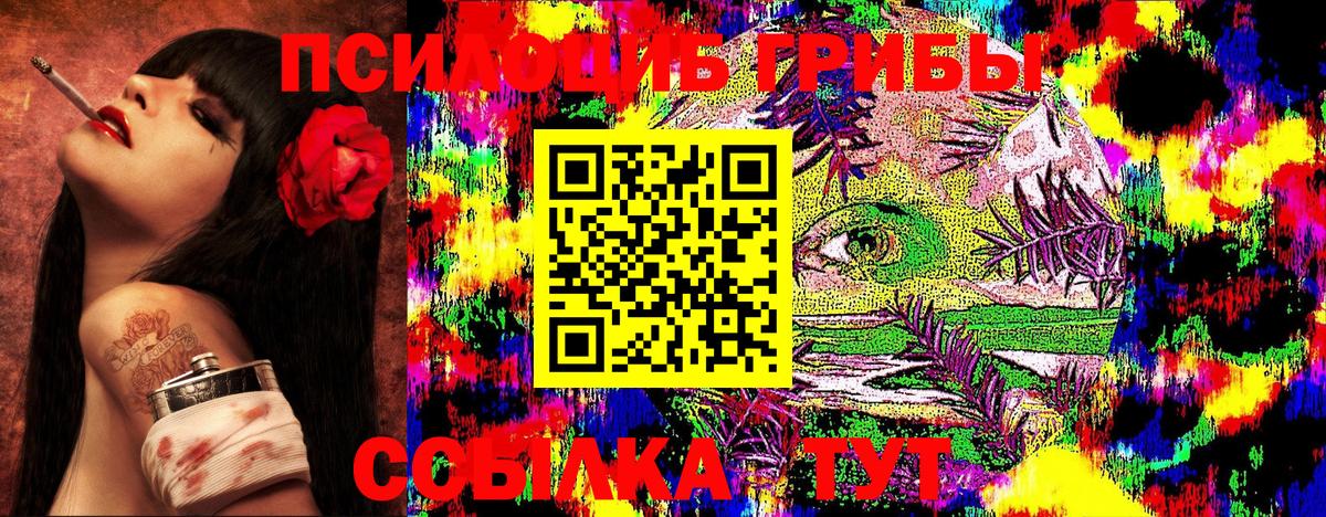 Галлюциногенные грибы MAGIC MUSHROOMS  Вход с VPN  Псилоцибиновые грибы Magic Shrooms  Новозыбков 